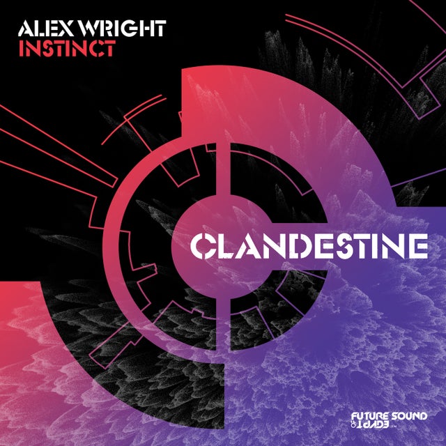 Instinct - Extended Mix album art