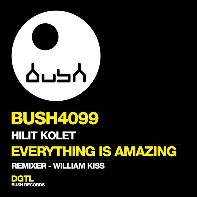 Everything Is Amazing - Extended Mix album art