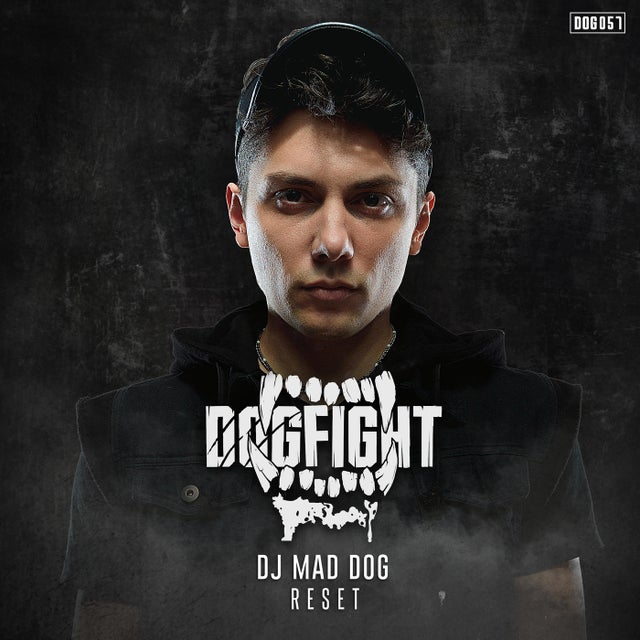 Reset album art