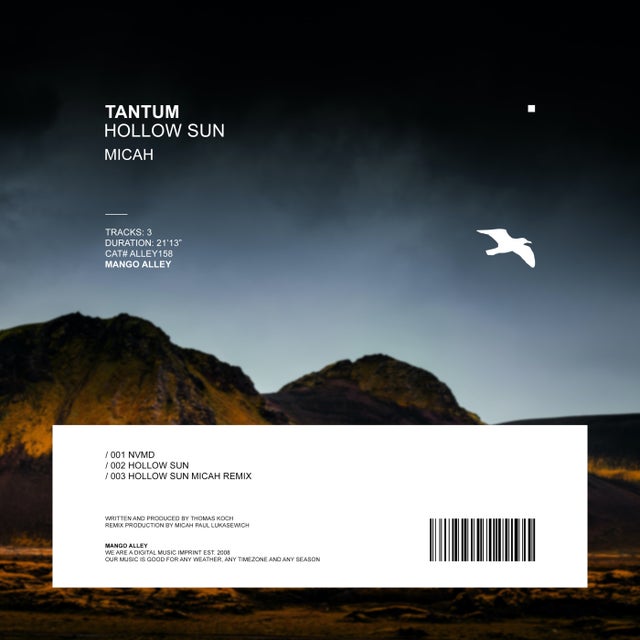 Hollow Sun album art