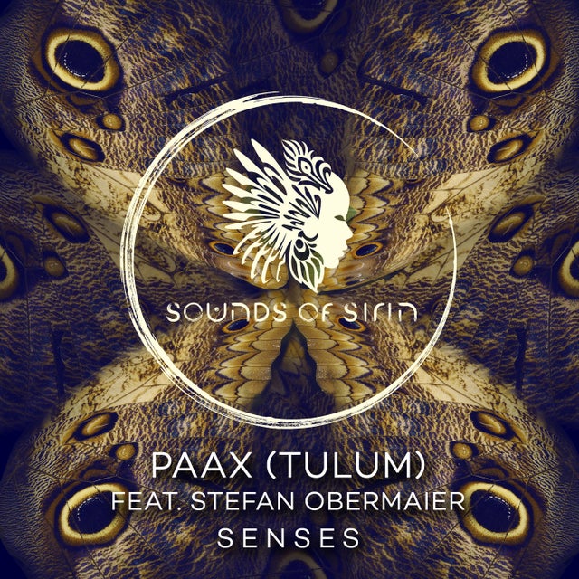 Senses album art