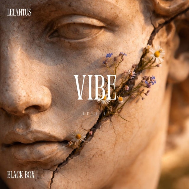 Vibe album art