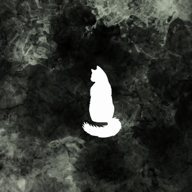 Beis album art