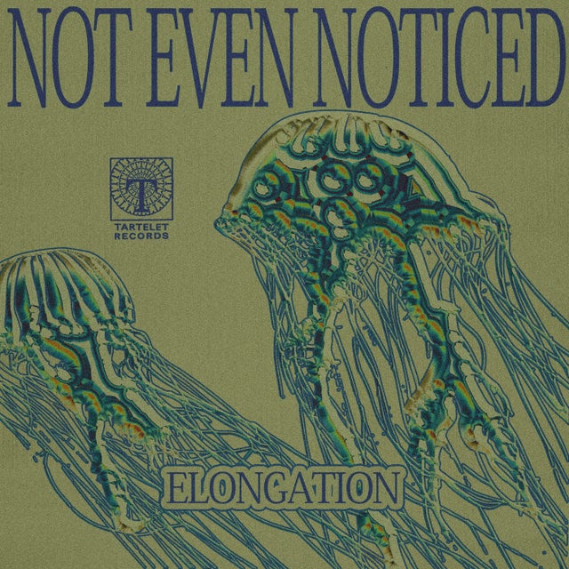 Elongation album art