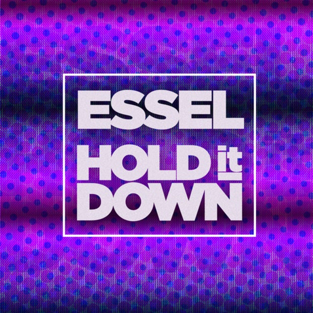 Hold It Down - VIP Club Mix album art