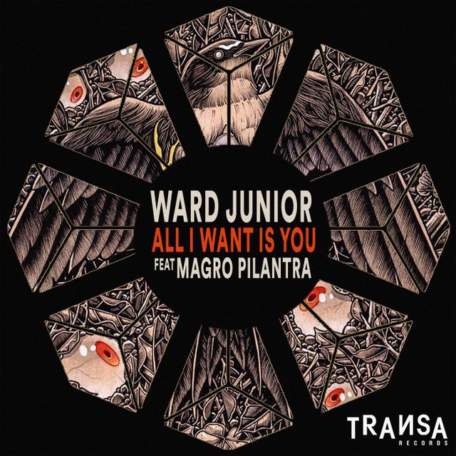 All I Want Is You Feat. Magro Pilantra album art