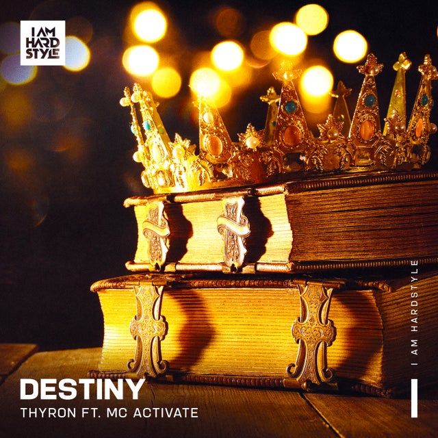 Destiny (feat. MC Activate) - Extended Mix album art