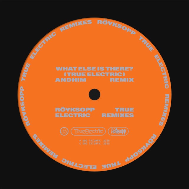 What Else Is There? (feat. Fever Ray) - andhim Extended Remix album art
