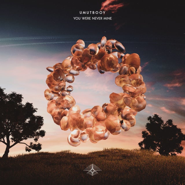 You Were Never Mine album art