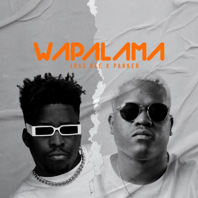 Wapalama album art
