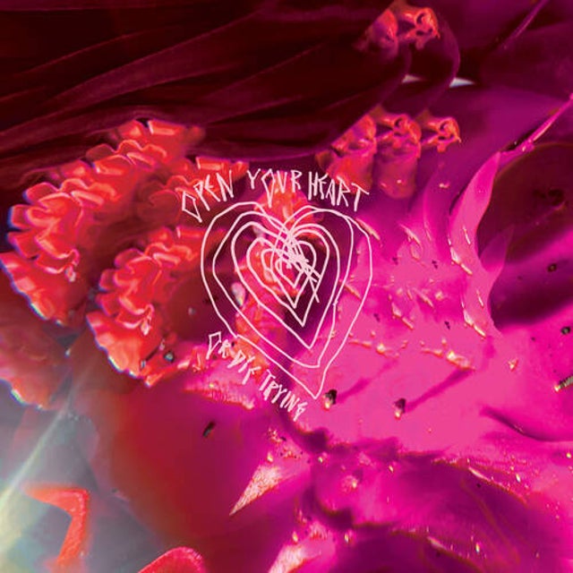 Open Your Heart or Die Trying - Director's Cut album art