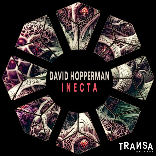Inecta album art