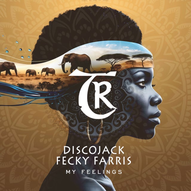 My Feelings album art