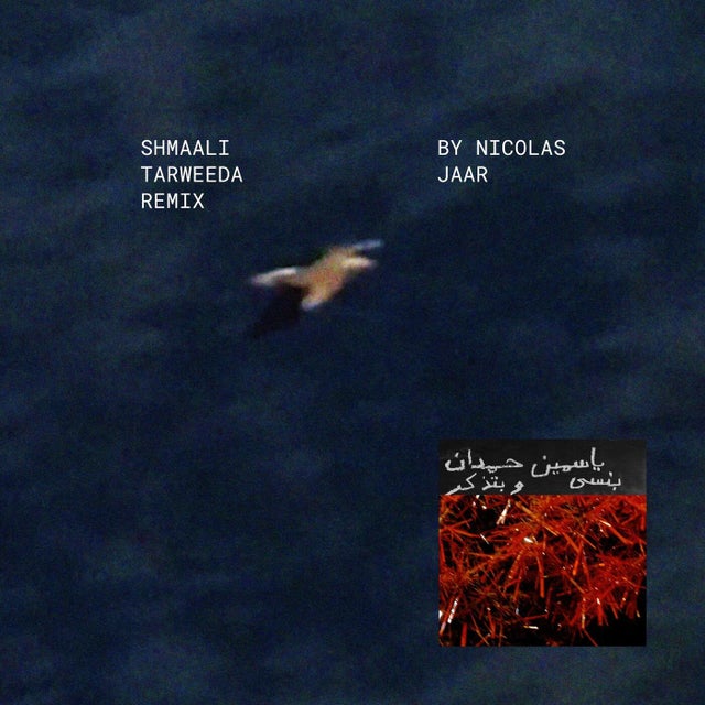 Shmaali ????? Tarweeda - Nicolas Jaar Remix album art