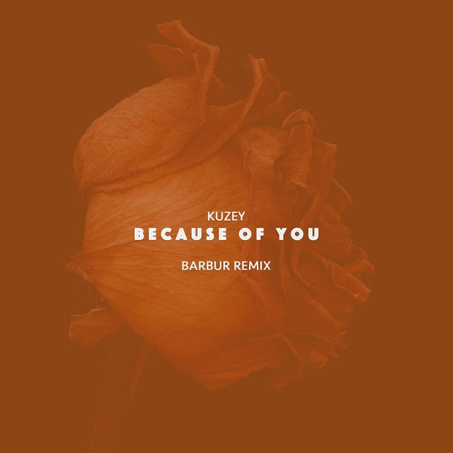 Because of You - Barbur Remix album art