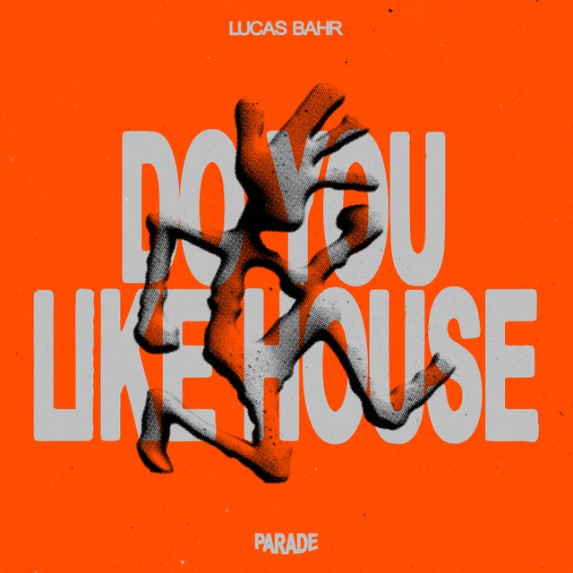 Do You Like House album art