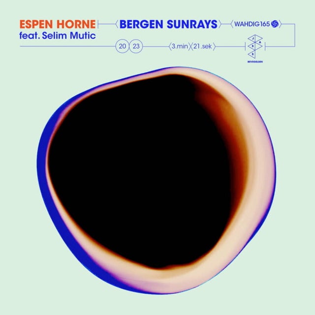 Bergen Sunrays (feat. Selim Mutic) - Session Victim Remix album art