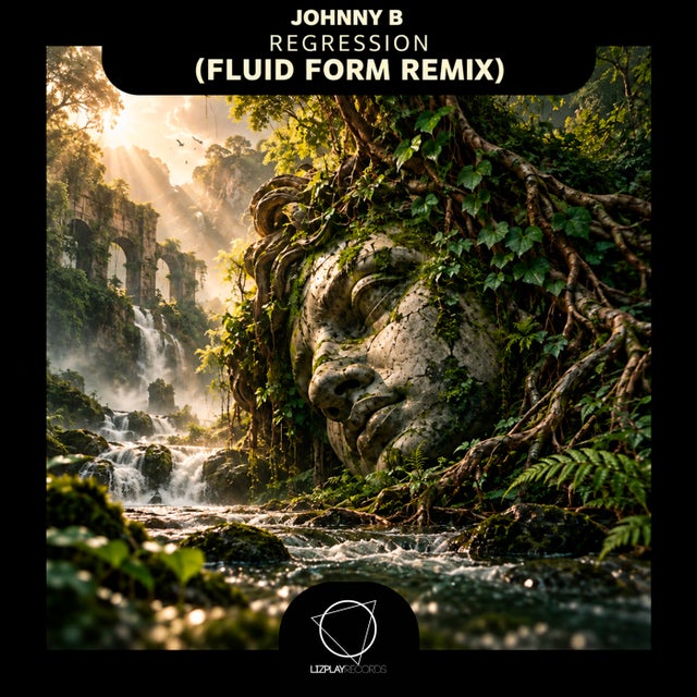 Regression - Fluid Form Remix album art