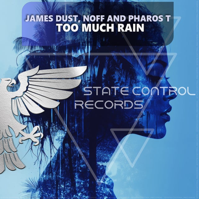 Too Much Rain - Extended Mix album art