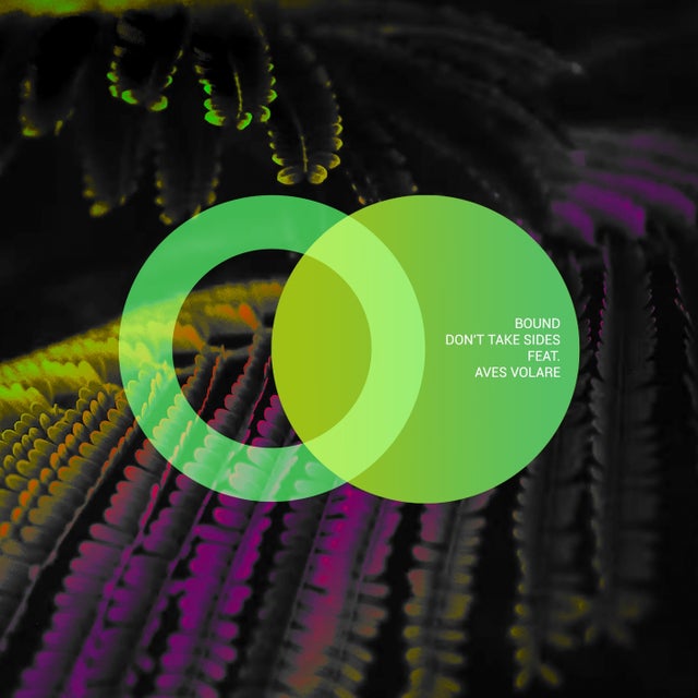 Don't Take Sides Feat. Aves Volare album art