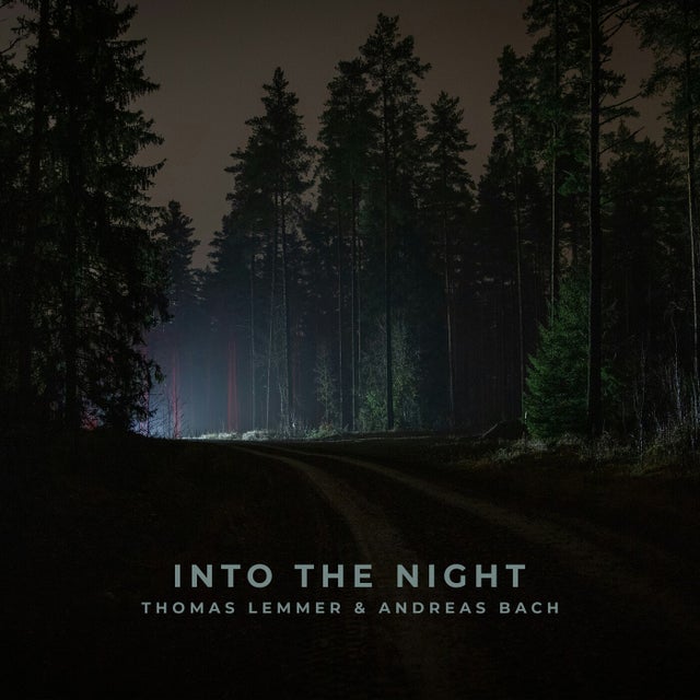 Into the Night album art