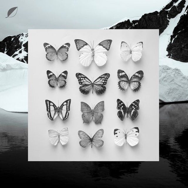 Young Alaska album art