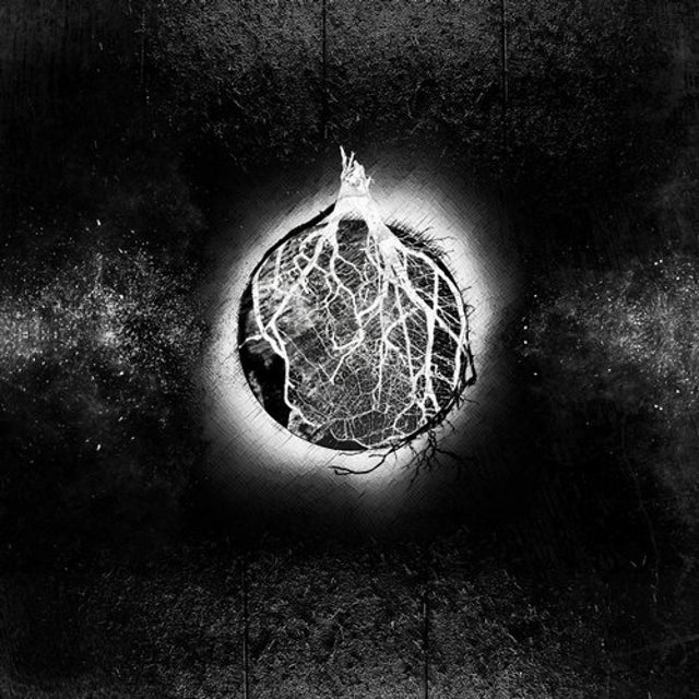 Mother Of album art