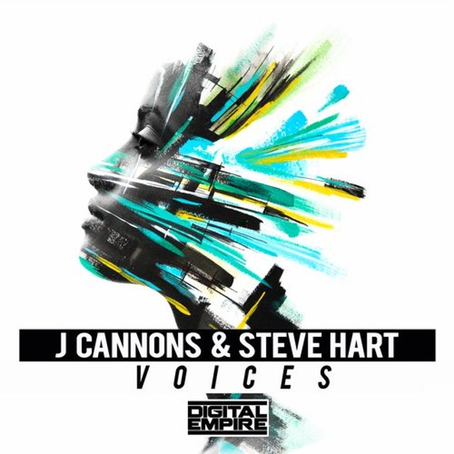 Voices album art