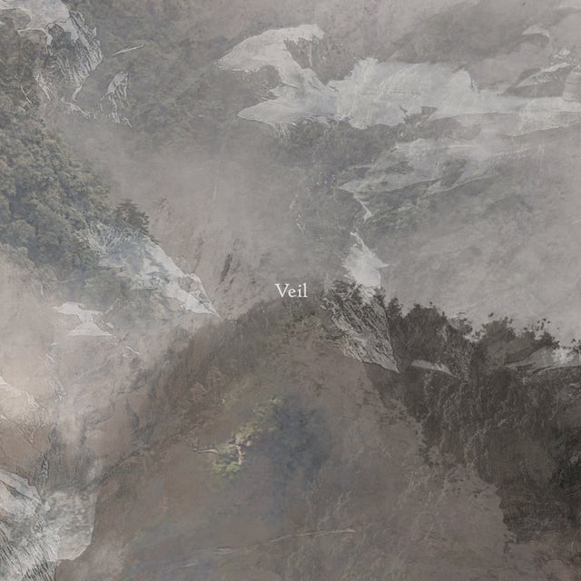 Veil album art
