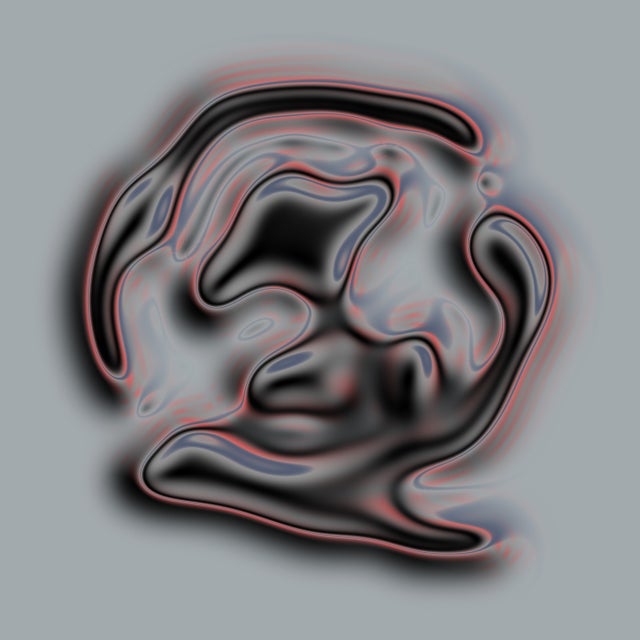 Dolphin Race album art