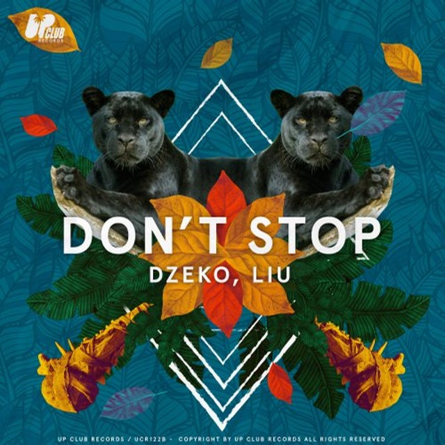 Don't Stop album art