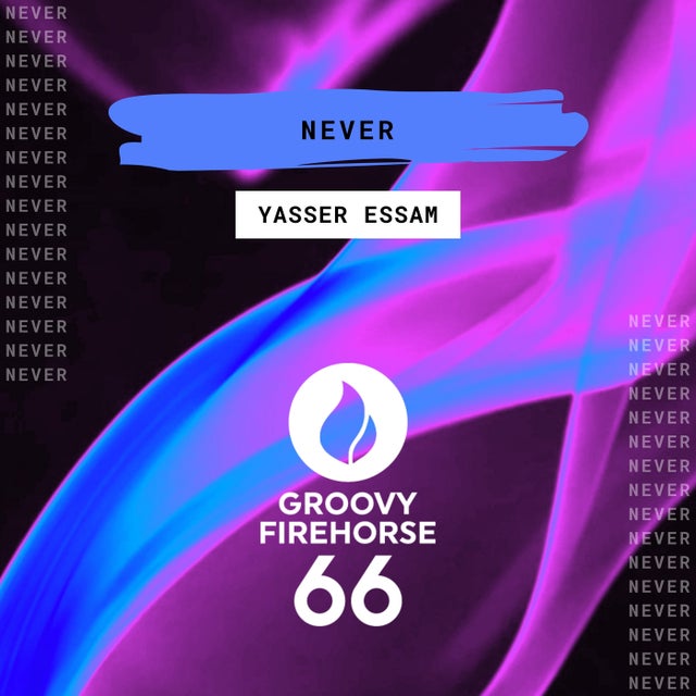 Never album art