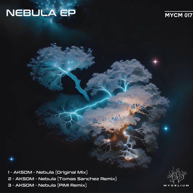 Nebula - PIMI Remix album art