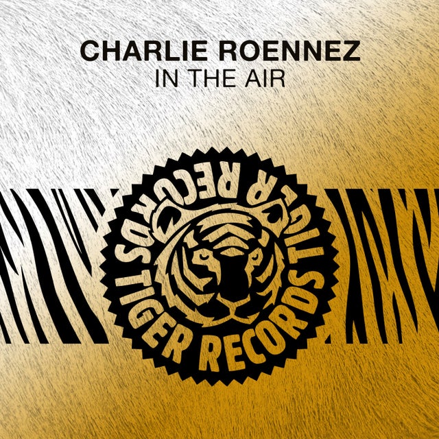 In the Air - Extended Mix album art
