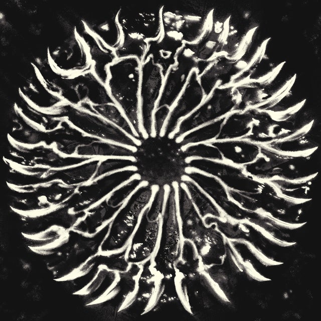 Fatima album art