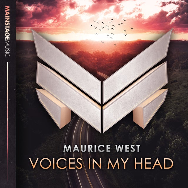 Voices In My Head - Extended Mix album art