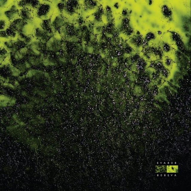 Demantar album art