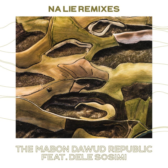 Na Lie - Armonica Remix album art