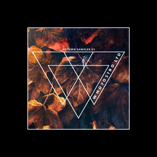 Voices album art