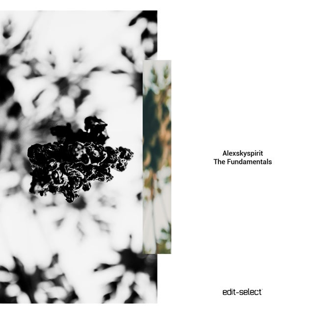 Fundamental #1 album art