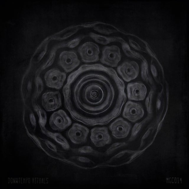 Raiz album art