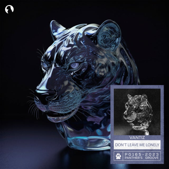 Don't Leave Me Lonely - Extended Mix album art