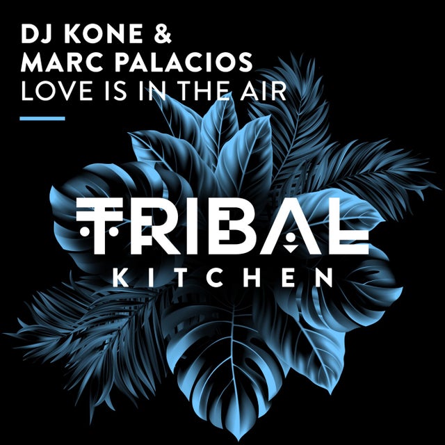 Love Is in the Air - Extended Mix album art