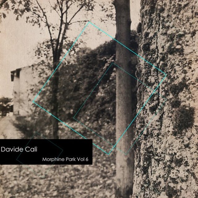 Morbidezza album art