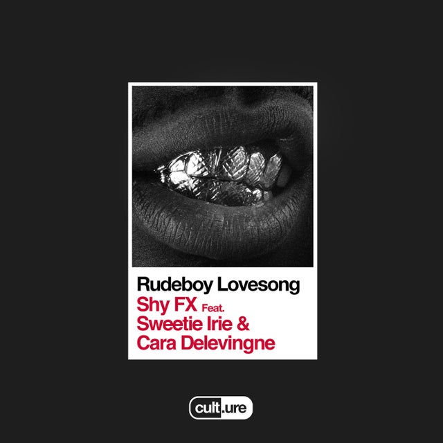 Rudeboy Lovesong (feat. Sweetie Irie & Cara Delevingne) album art