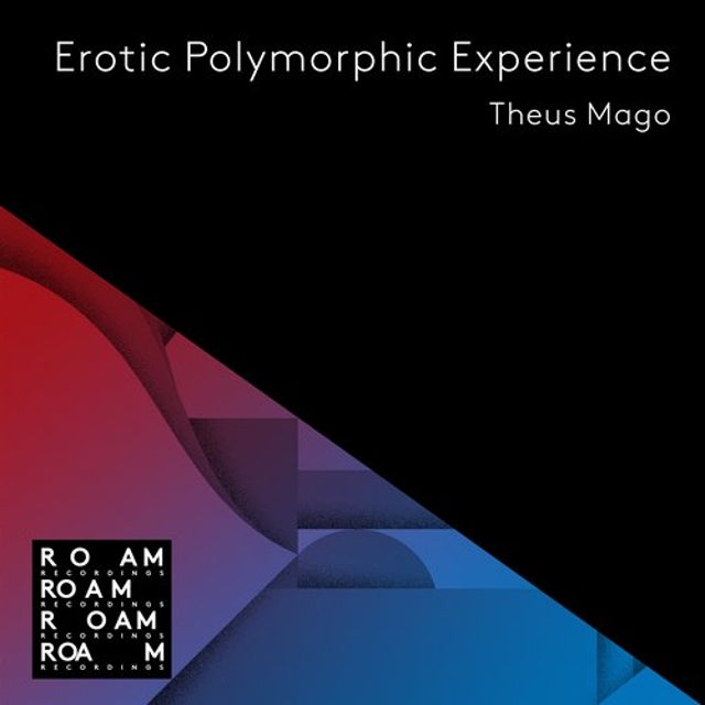 Erotic Polymorphic Experience - Brioski Remix album art