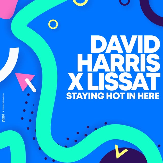 Staying Hot In Here - Nu Disco Mix album art