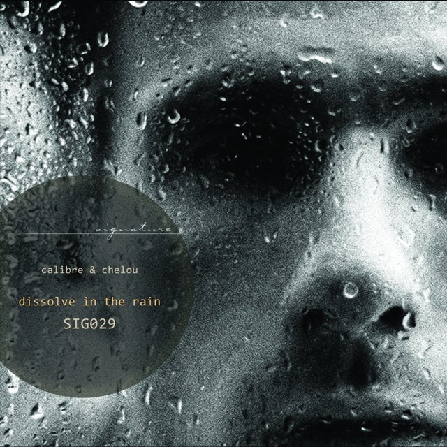 Dissolve In The Rain album art