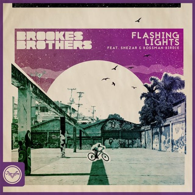Flashing Lights feat. ShezAr, Bossman Birdie album art