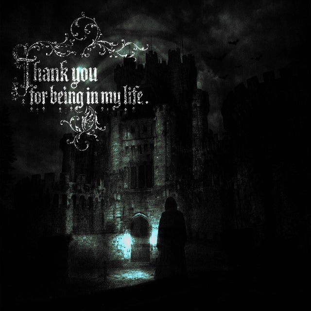 thank you for being in my life - slowed album art